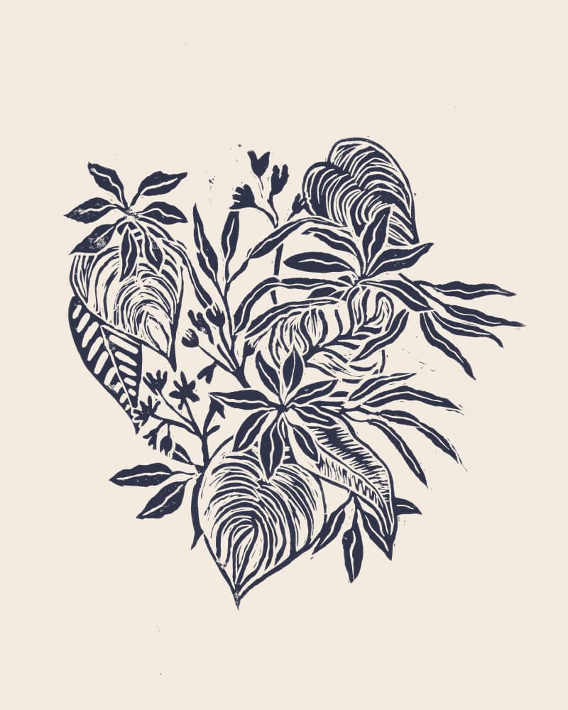 Tropical Leaf Cluster by Alexandra Weise — canvas wall art