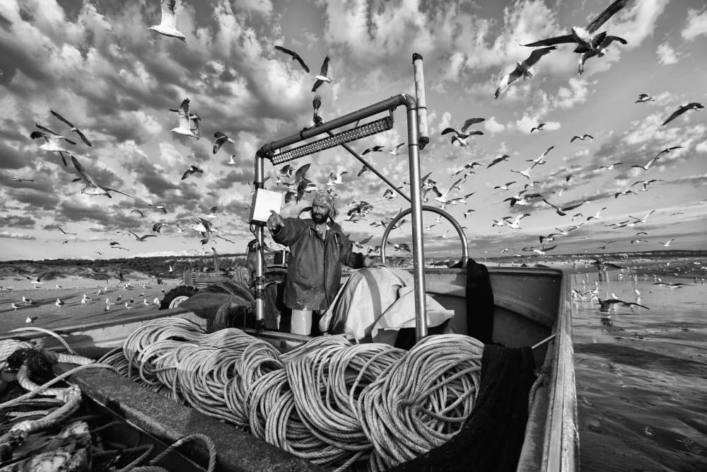 Fisherman and Flying Birds by Josefina Melo — canvas wall art