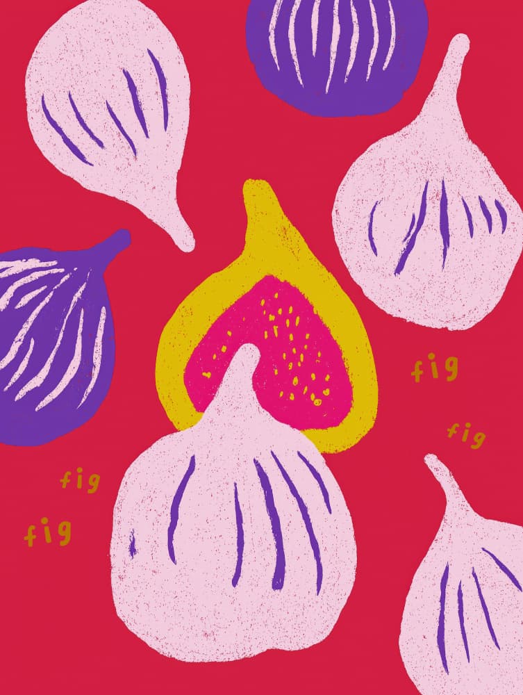 Figlove by Treechild — canvas wall art