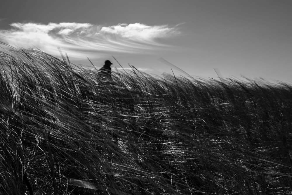 Solitary Figure Windy Dunes by Liesbeth van der Werf — canvas wall art