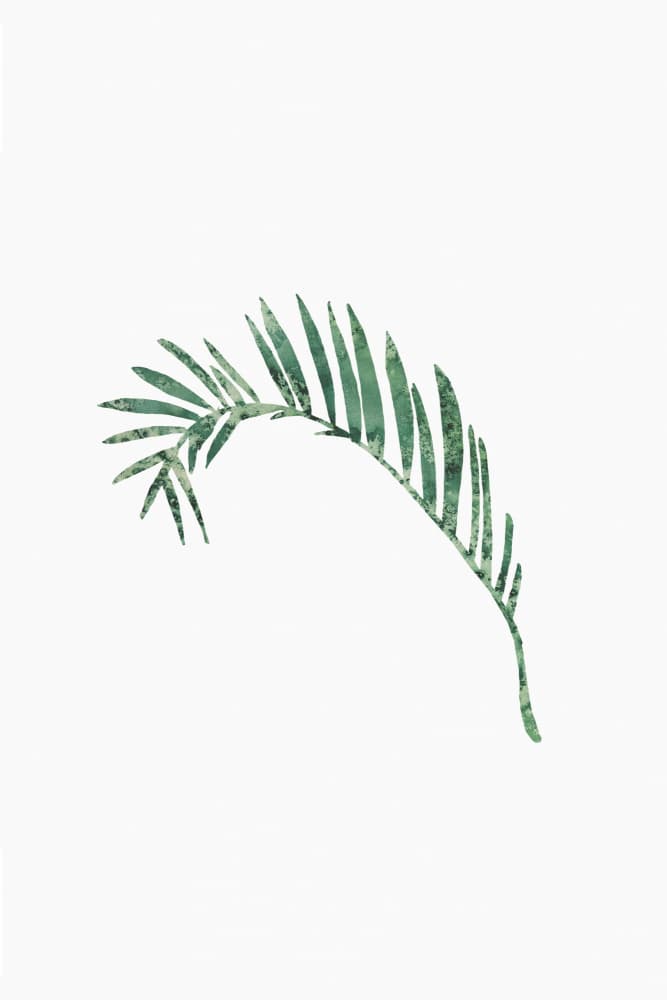 Textured Palm Leaf by Karen Menzenbach — canvas wall art
