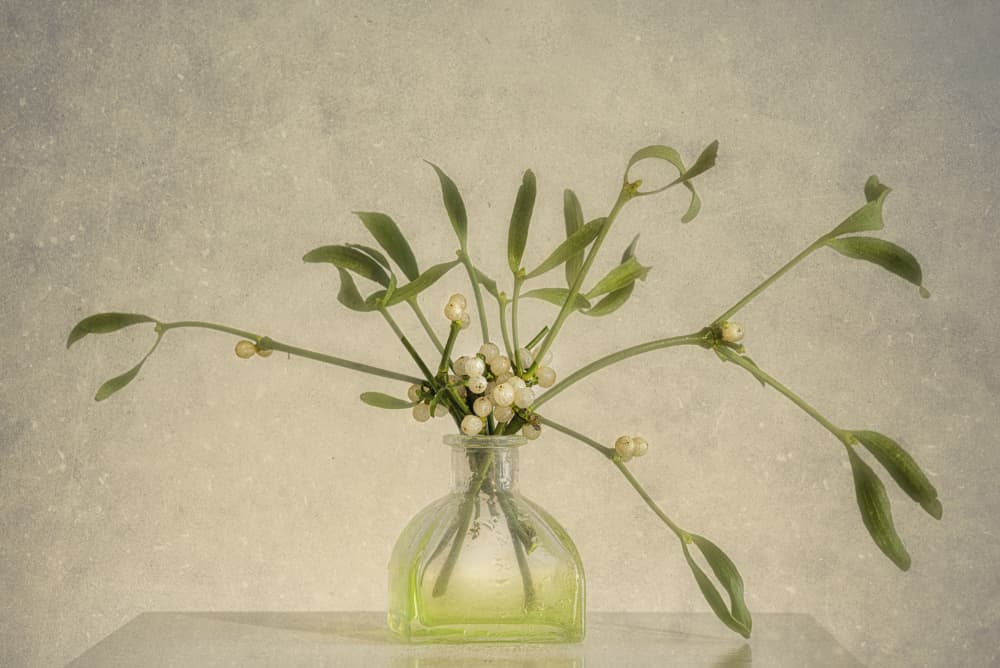 Mistletoe Berries In Vase by Marie-anne Stas — canvas wall art