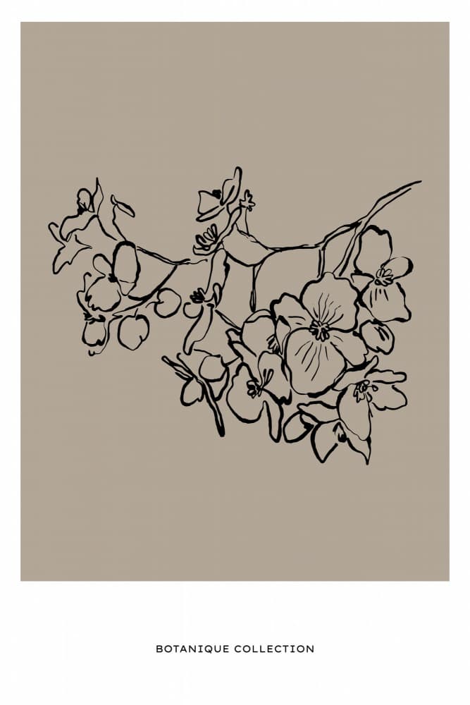 Botaniquecollectionno02 by Treechild — canvas wall art