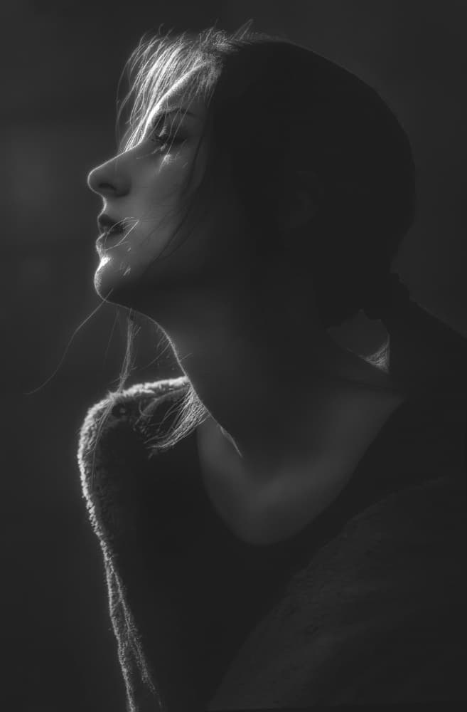 Pensive Woman Profile by Toni Fidanza — canvas wall art