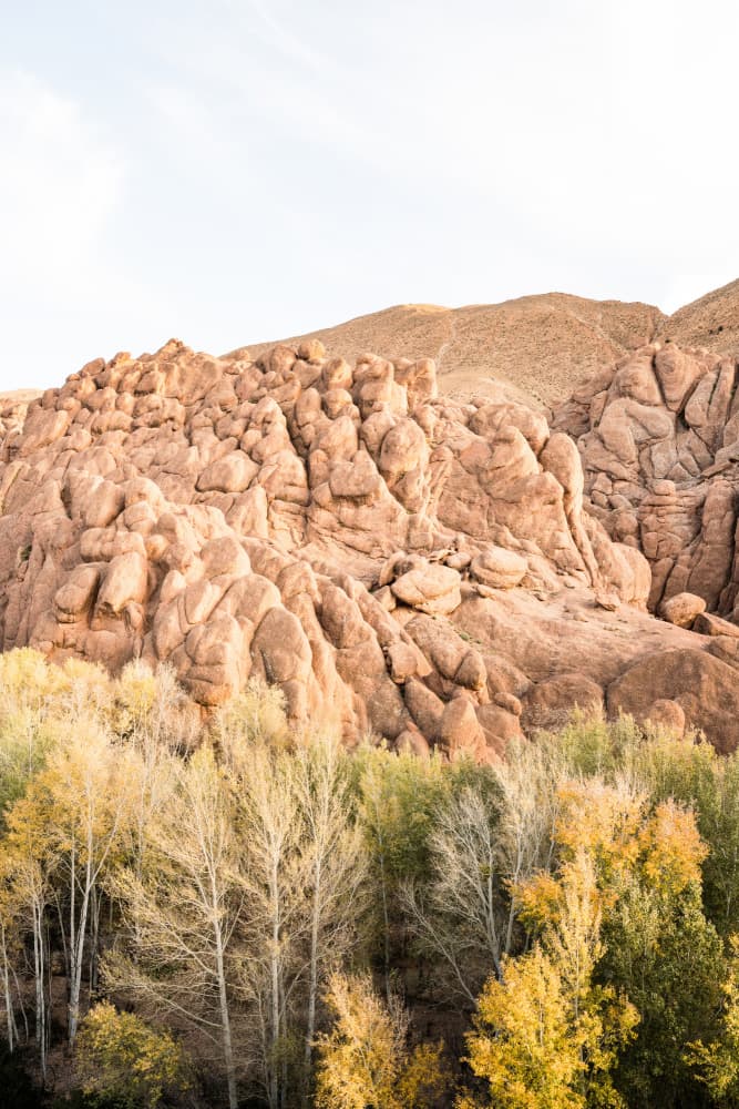 Autumn Canyon Rocks by Photolovers — canvas wall art