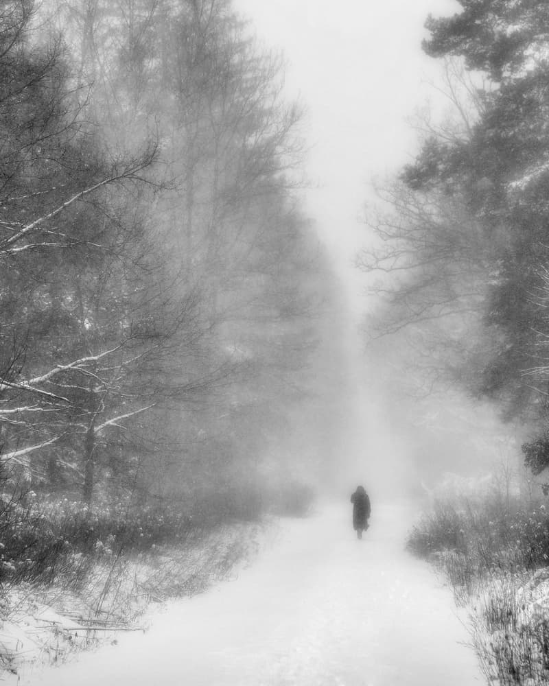 Solitary Winter Walk by Alexej Schulz — canvas wall art