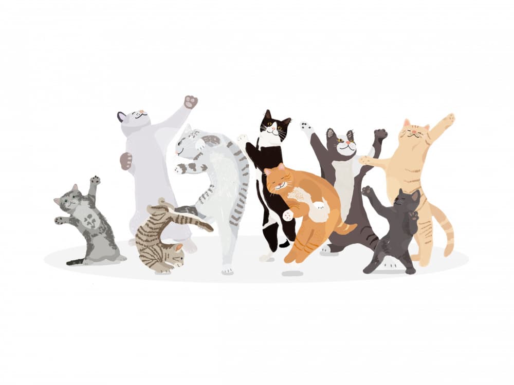 Happy Dancing Cats by Hanna Melin — canvas wall art