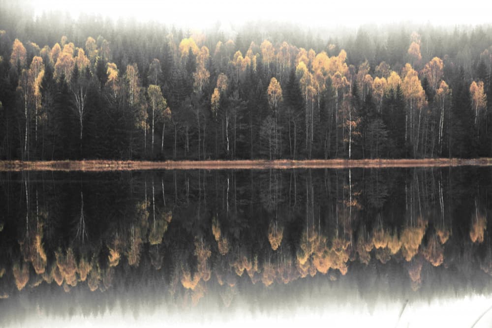 Misty Autumn Reflection by Christina Sillen — canvas wall art