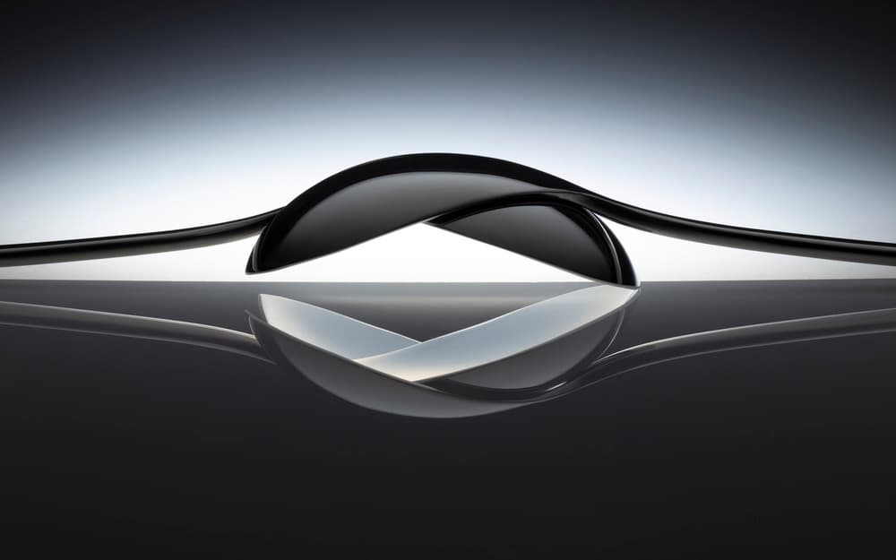 Elegant Black Curves by Wieteke de Kogel — canvas wall art