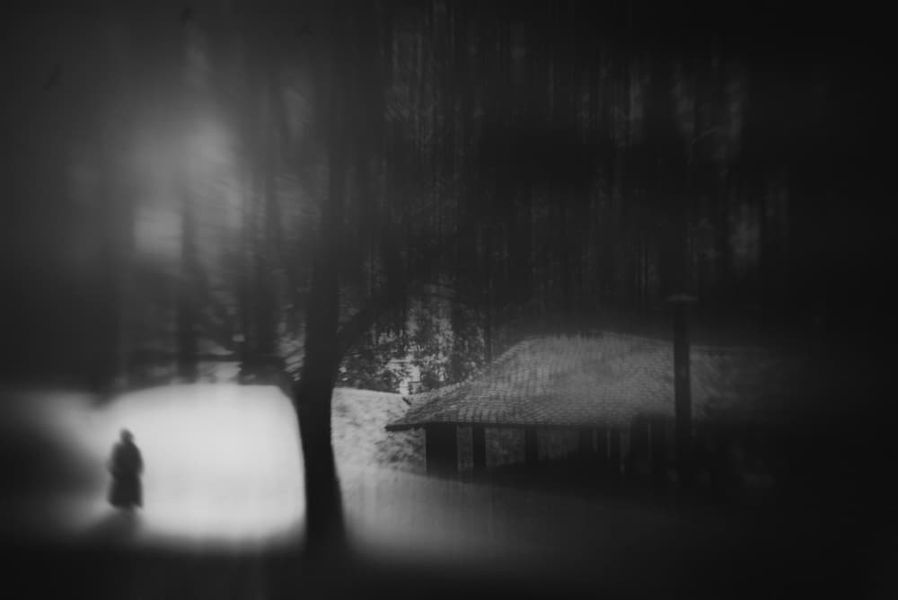 Solitary Figure Dark Woods by Teruhiko Tsuchida — canvas wall art