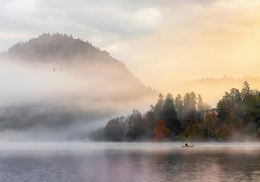 Misty Lake Sunrise by Leechee Z — canvas wall art