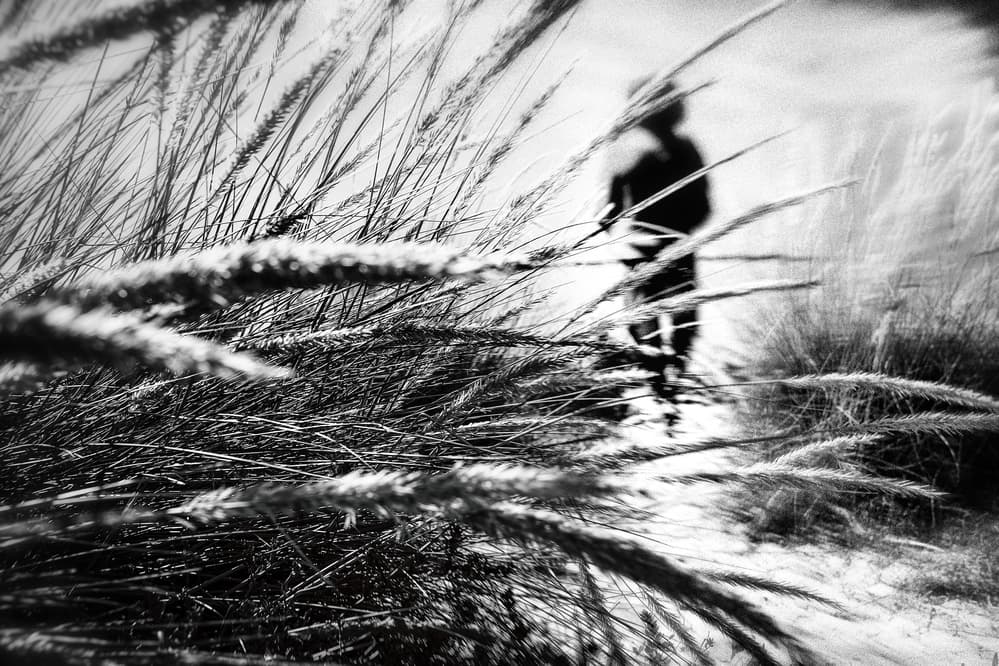 Blurred Figure Dune Grass by Ina Tänzer — canvas wall art