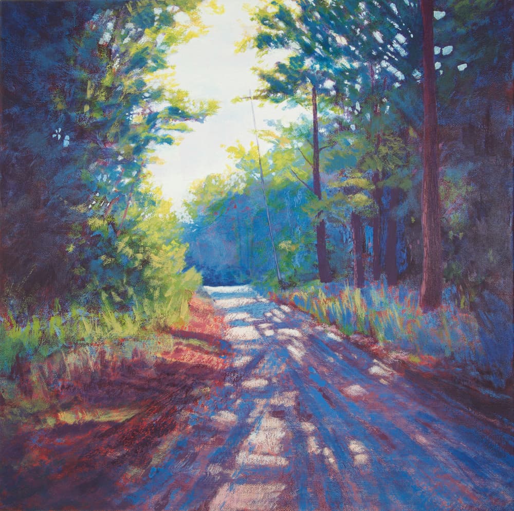 Sunlit Country Road by Matt Dominger — canvas wall art