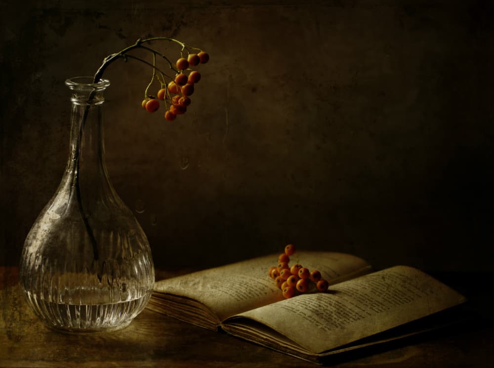 Autumn Berries And Book by Delphine Devos — canvas wall art