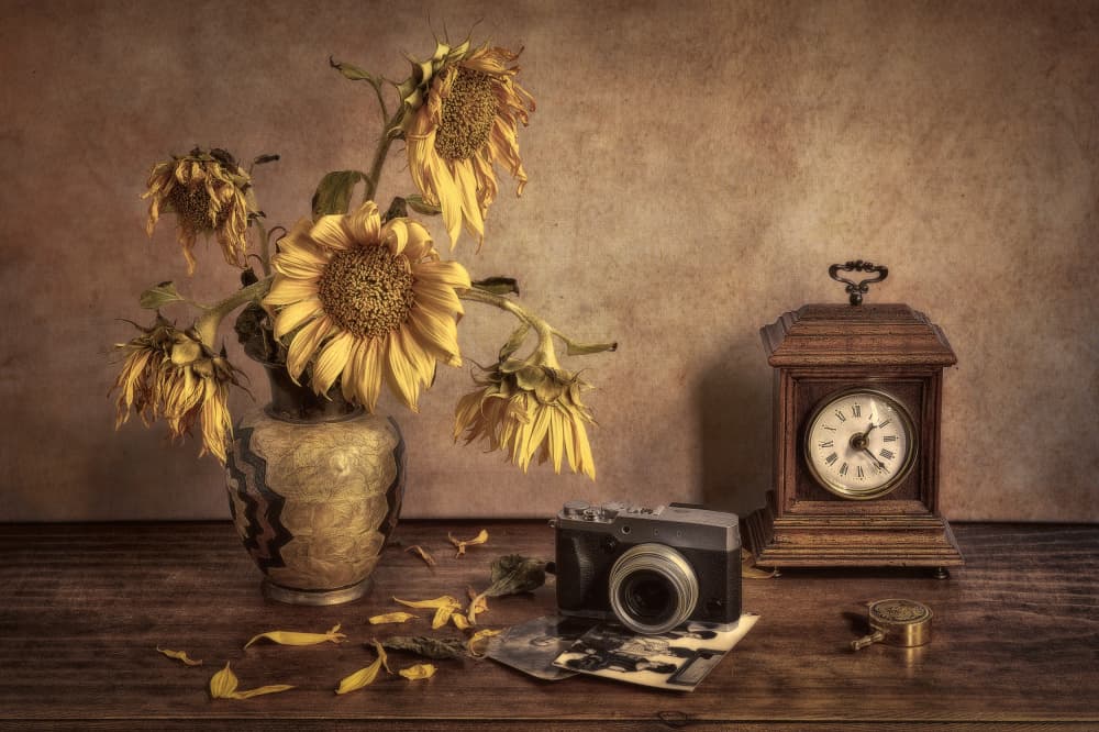 Vintage Still Life Memories by Juan Luis Seco — canvas wall art