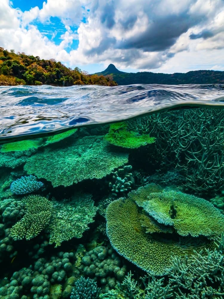 Split Tropical Reef View by Serge Melesan — canvas wall art