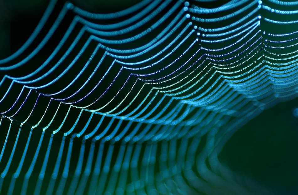 Sparkling Aqua Web by Allan Wallberg — canvas wall art