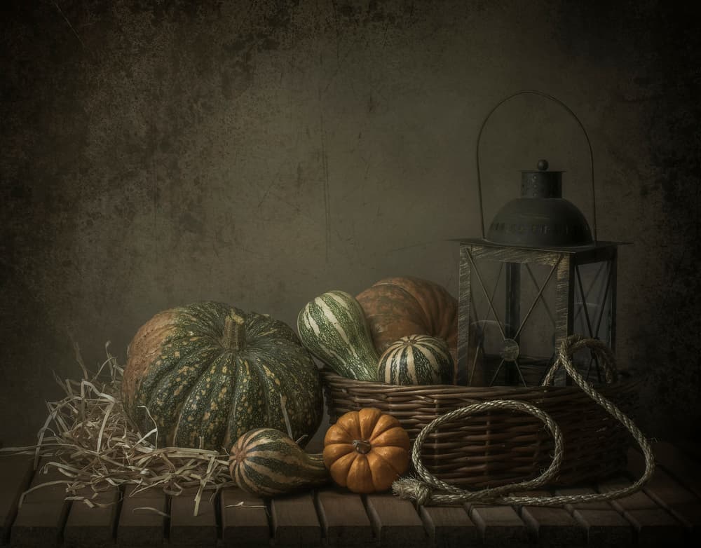 Autumn Still Life Pumpkins by Margareth Perfoncio — canvas wall art