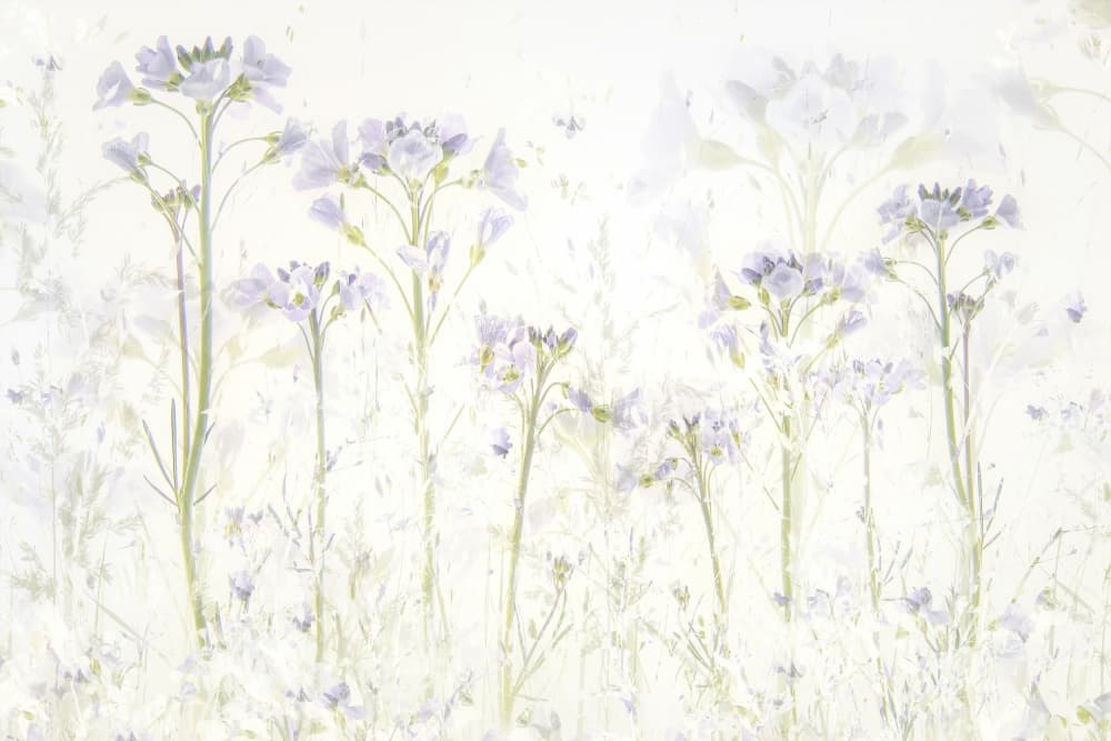 Spring at home by Nel Talen — canvas wall art