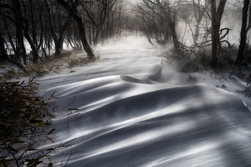 Wind Blown Winter Path by Akira Nagase — canvas wall art