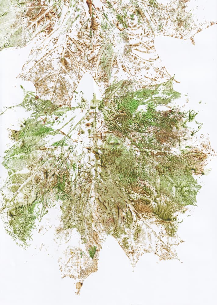 Autumn Leaf Print by Maira Ribena — canvas wall art