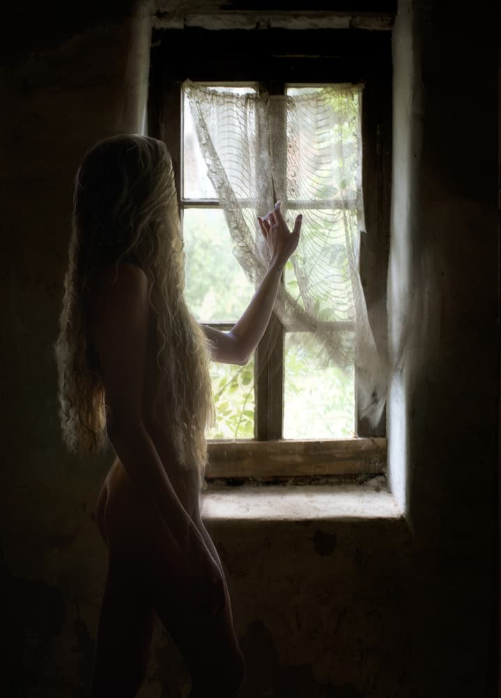 Woman By Window Light by Charlaine Gerber — canvas wall art