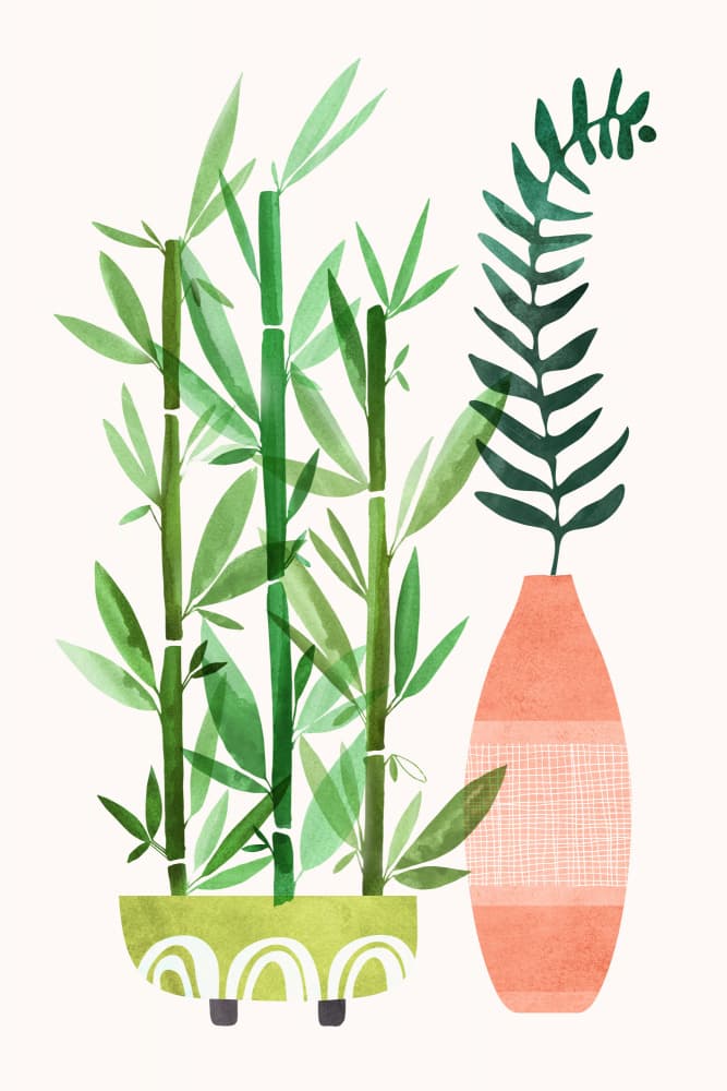 Bamboo Fern 2x3 by Kristian Gallagher — canvas wall art