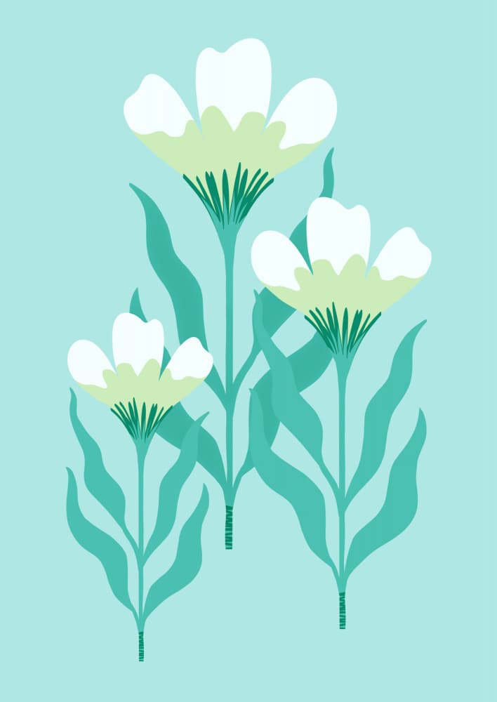 White Poppy Bouquet by Kristian Gallagher — canvas wall art