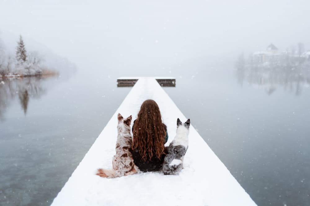 Snowy Dock Companions by Ve Shandor — canvas wall art