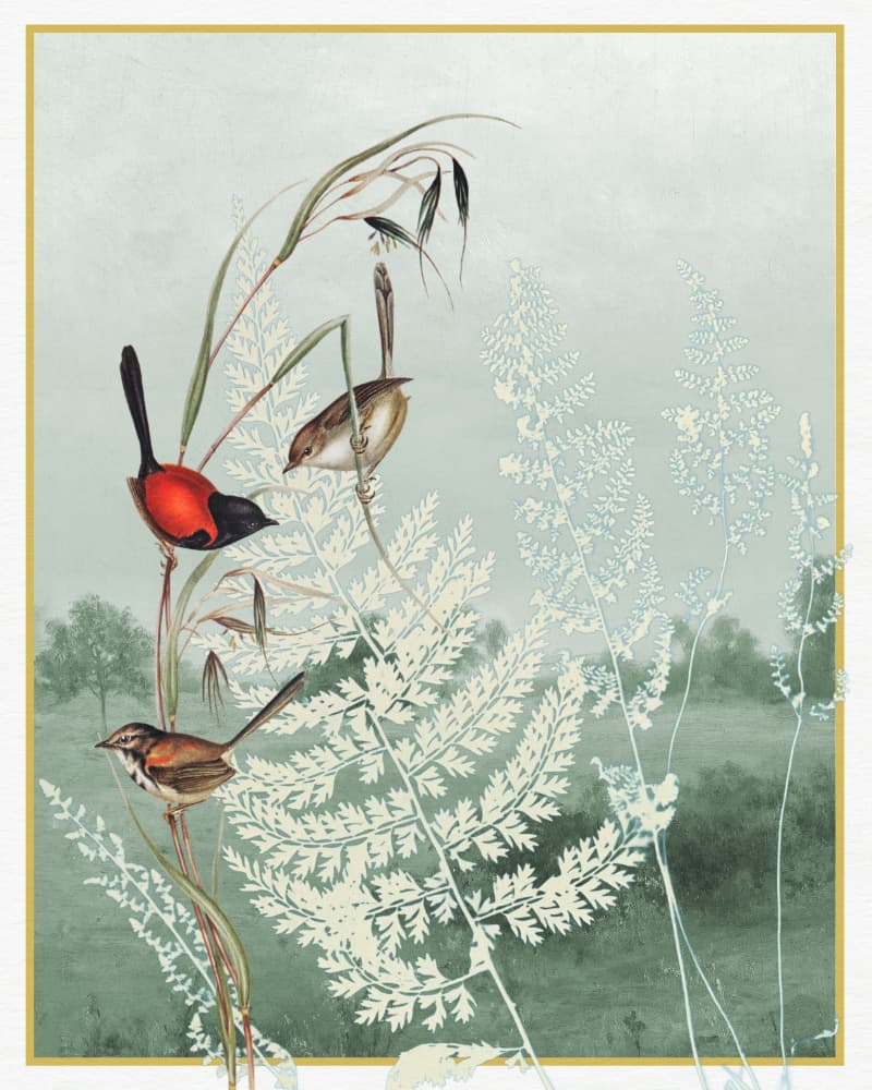 Birds Among Ferns by Wild Violets — canvas wall art