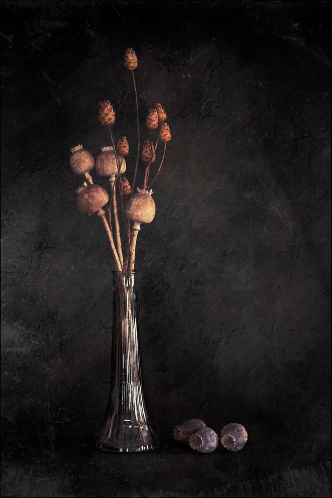 Dark Botanical Still Life by Cicek Kiral — canvas wall art