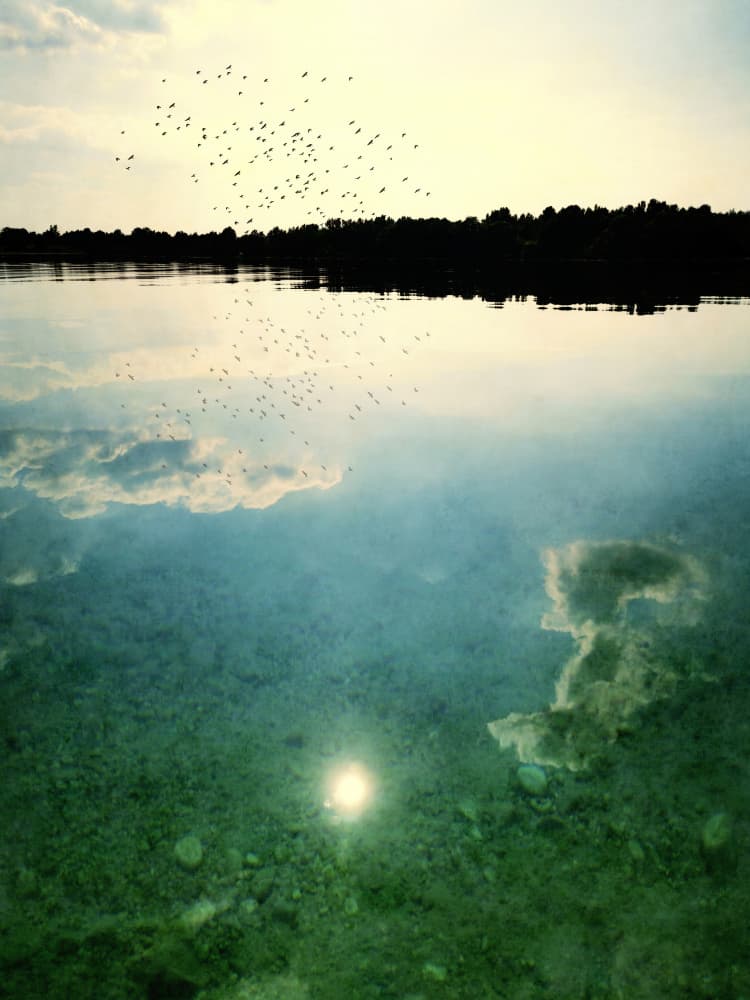 Birds Over Tranquil Lake by Angelo Cerantola — canvas wall art