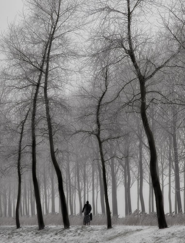 Misty Winter Ride by Yvette Depaepe — canvas wall art