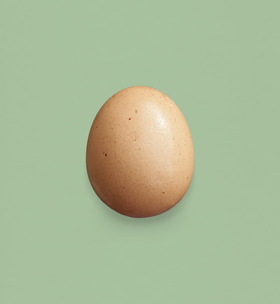 Brown Egg On Green by Florent Bodart — canvas wall art