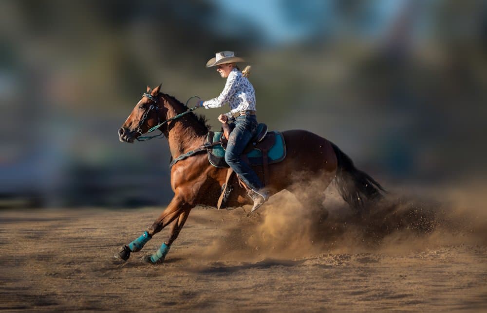 Cowgirl Racing Through Dust by Irene Wu — canvas wall art