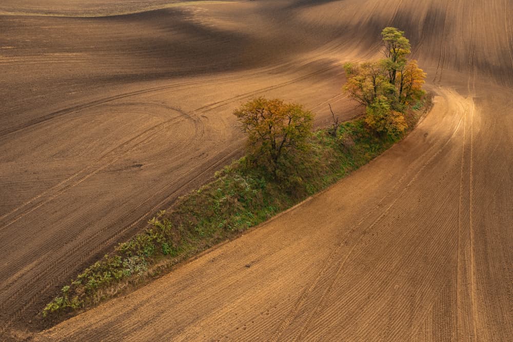Wavy Autumn Farmland by Jure Kravanja — canvas wall art