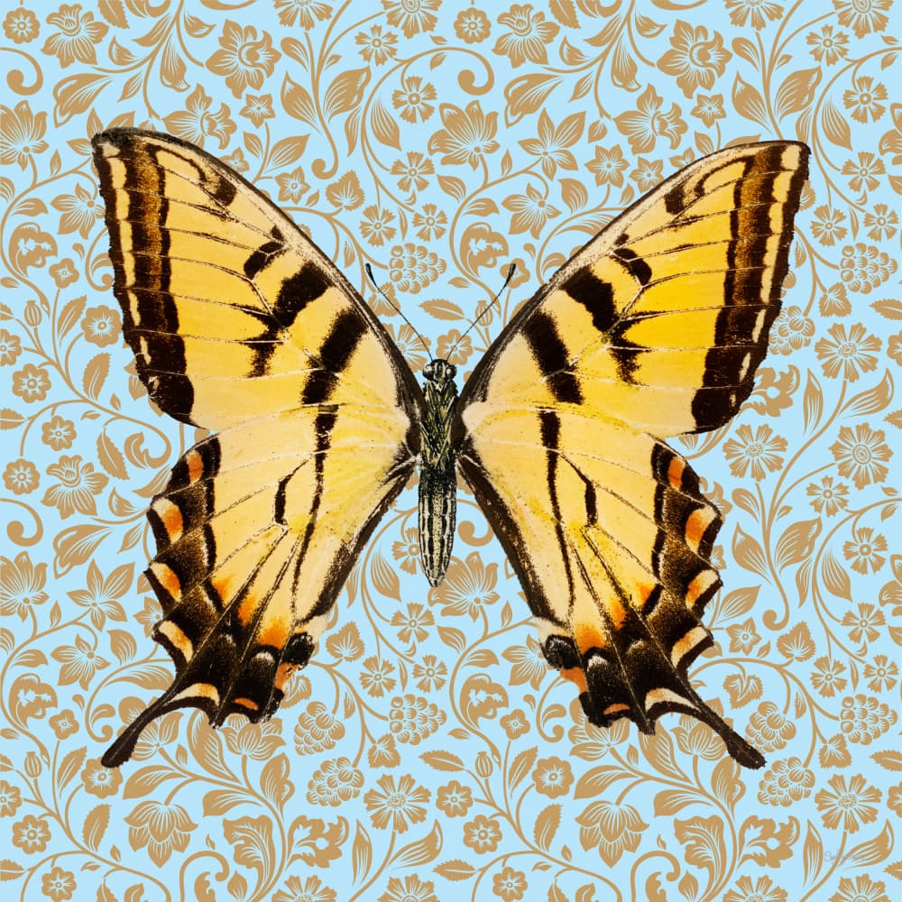 Yellow Butterfly Gold Pattern by Sue Skellern — canvas wall art