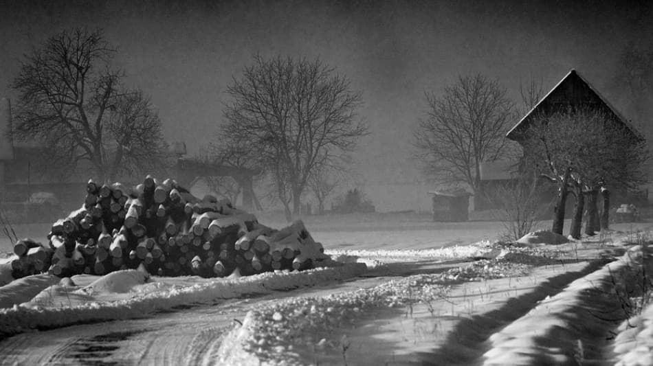 Rustic Winter Path by Jure Kravanja — canvas wall art