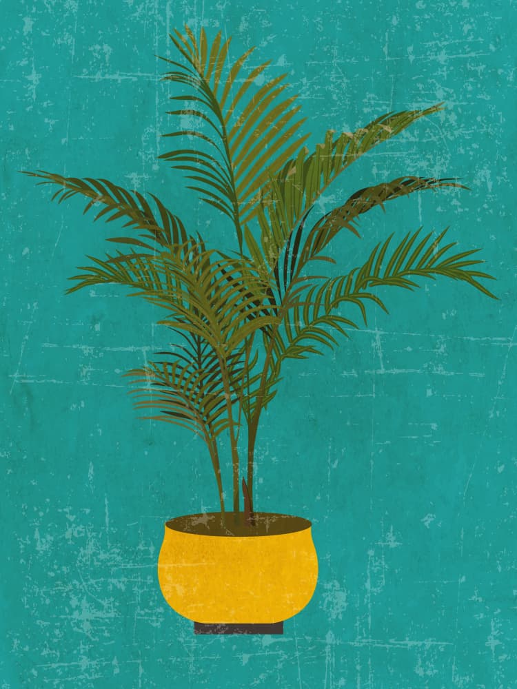 Vibrant Potted Palm by WallChart Art Studio — canvas wall art
