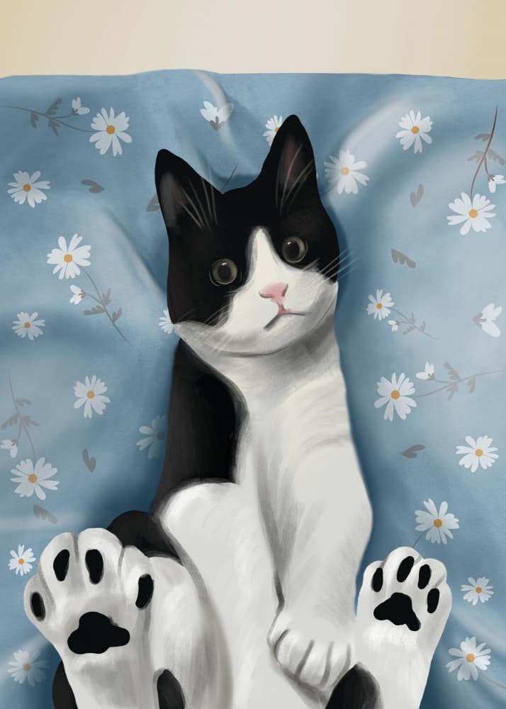 Cute Tuxedo Cat by Flow Line — canvas wall art