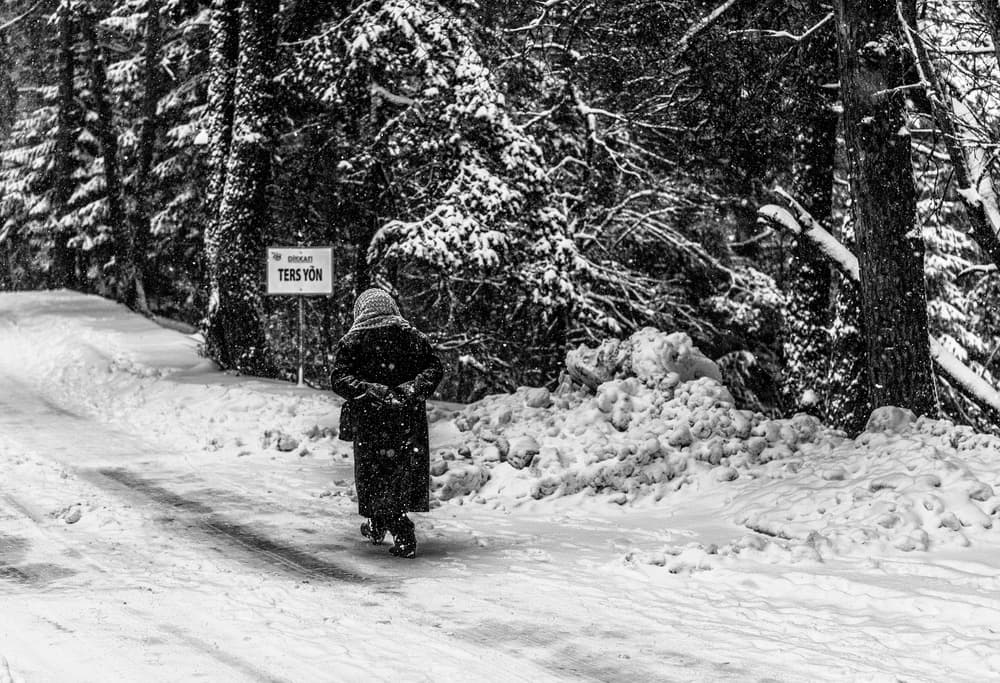 Solitary Winter Walk by Ömer Ates Kızıltug — canvas wall art