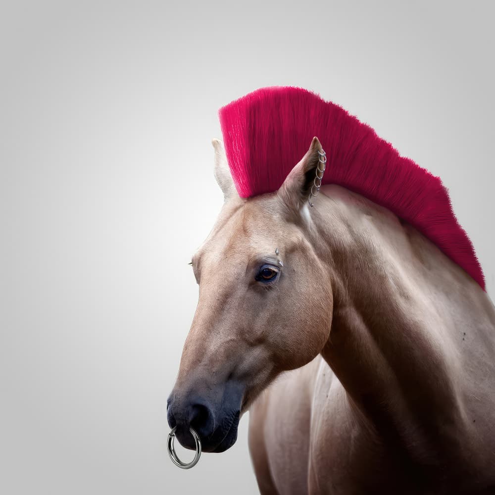Pink Mohawk Horse by Artem Pozdniakov — canvas wall art