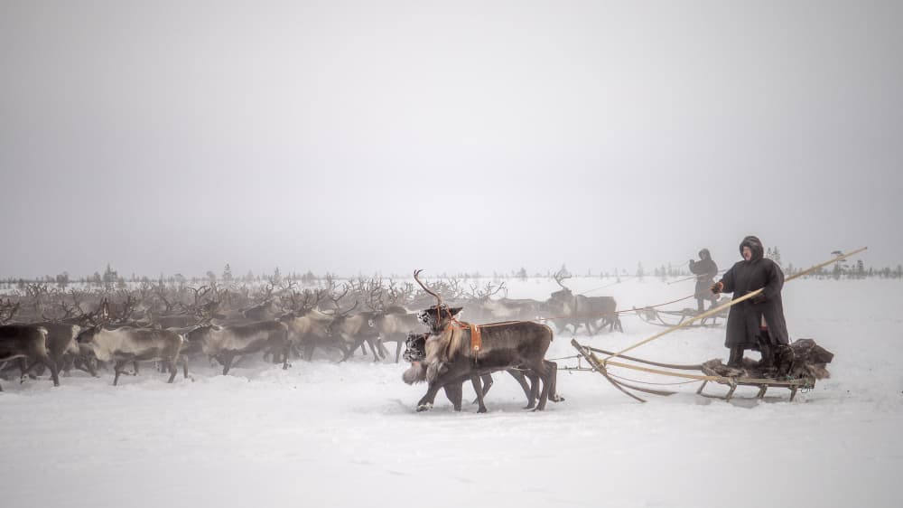 Arkadij and Kolja riding the herd by Marcel Rebro — canvas wall art