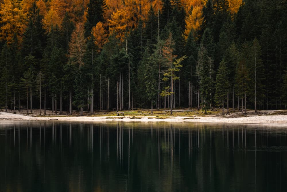 Autumn Lake Forest Reflections by Andreea Selagea — canvas wall art
