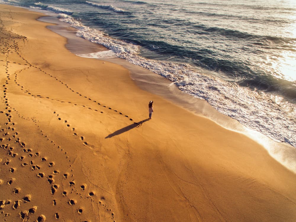 Serene Beach Solitude by Javier Pardina — canvas wall art