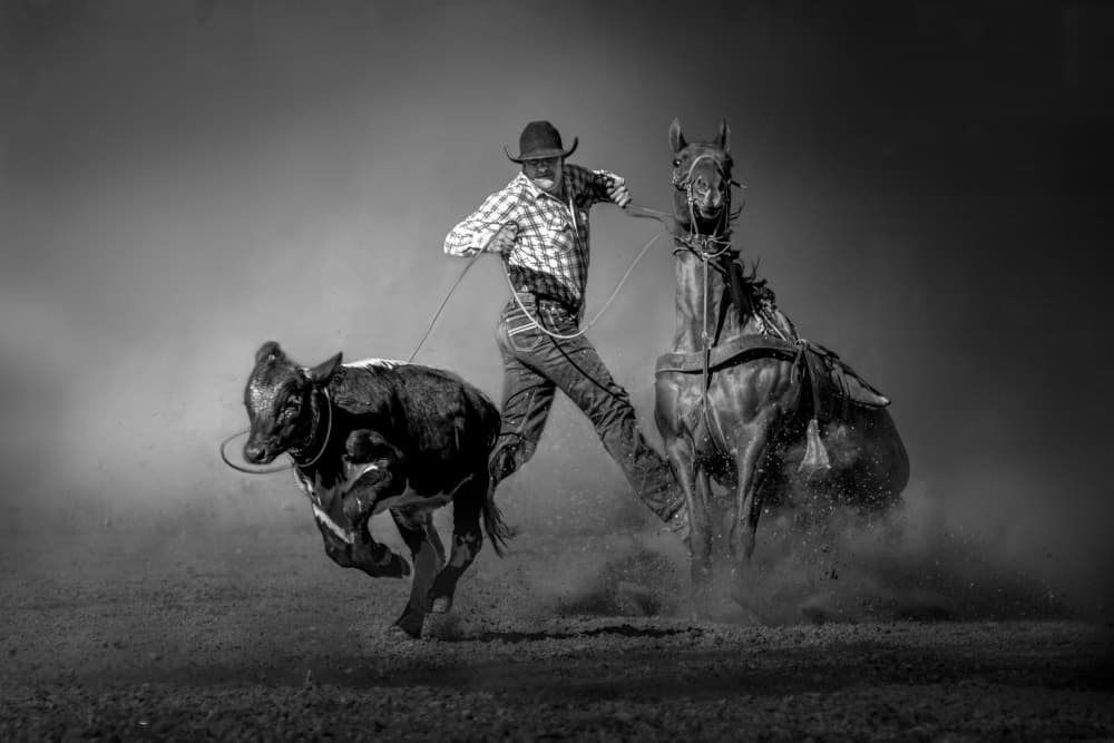 Western Rodeo Action by Irene Wu — canvas wall art