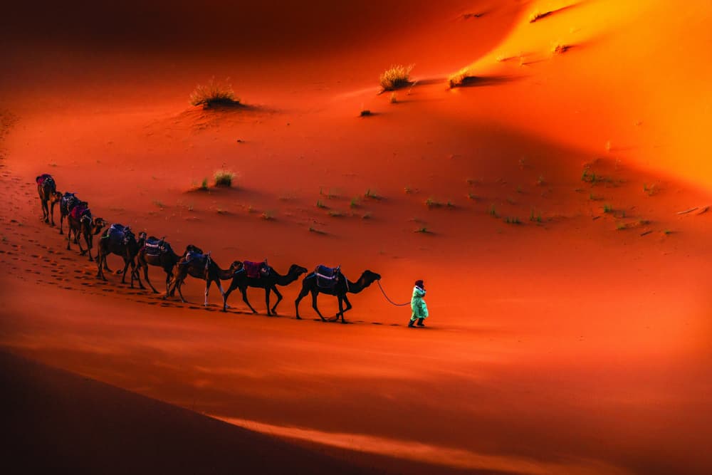 Golden Desert Caravan by Alexander Alexandrov — canvas wall art
