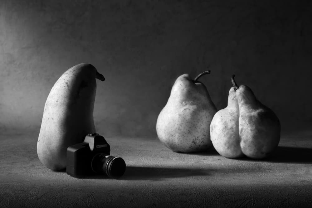 Pears Camera Still Life by Victoria Glinka — canvas wall art