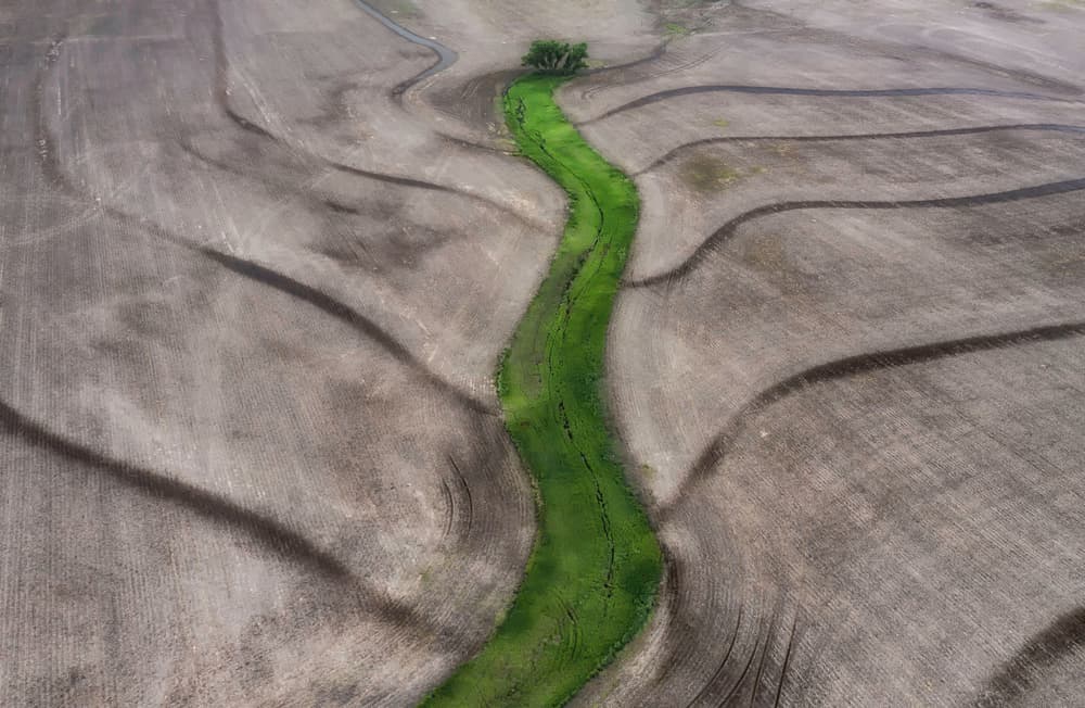 Winding Green Farm Path by Rob Darby — canvas wall art