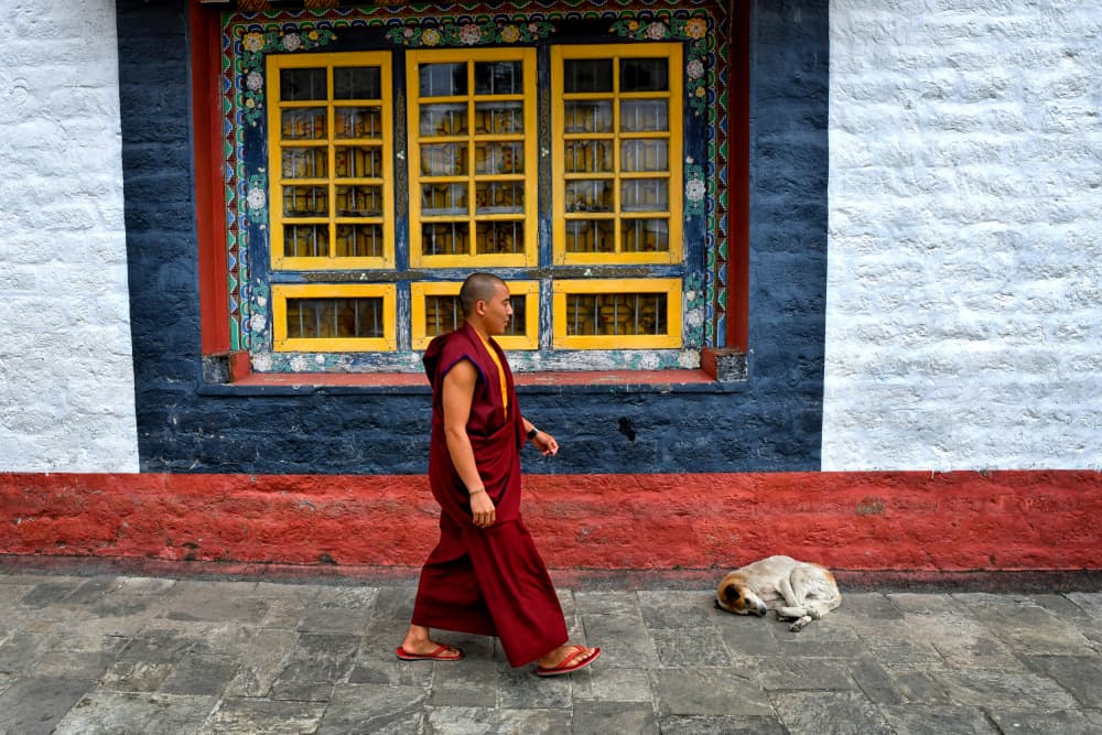 Monk in a monastery by Shaibal Nandi — canvas wall art